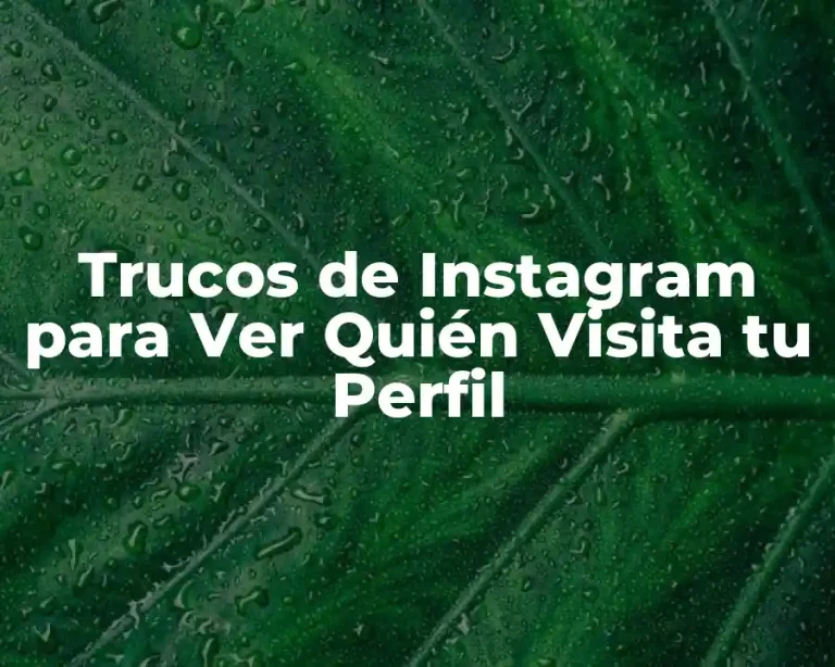 Trucos de Instagram para Ver Quién Visita tu Perfil
