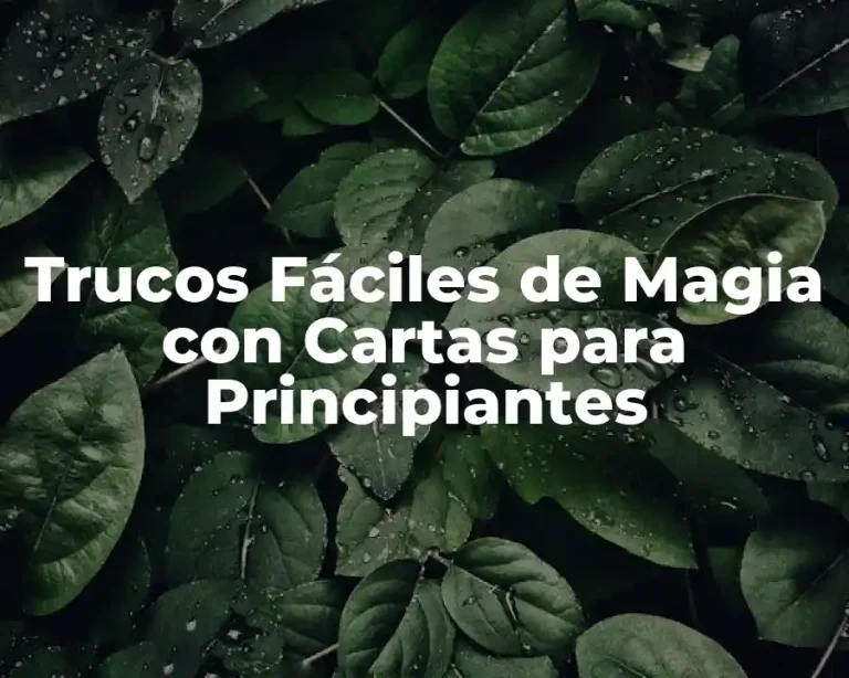 Trucos Fáciles de Magia con Cartas para Principiantes