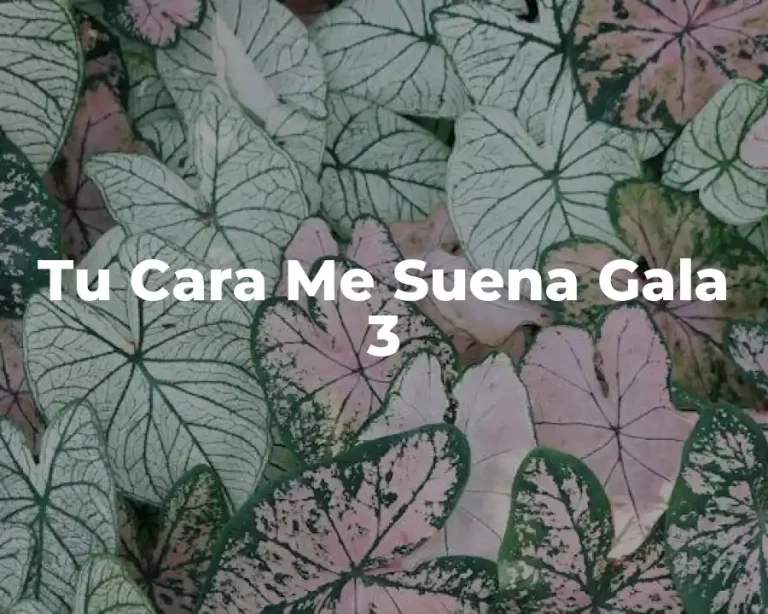 Tu Cara Me Suena Gala 3