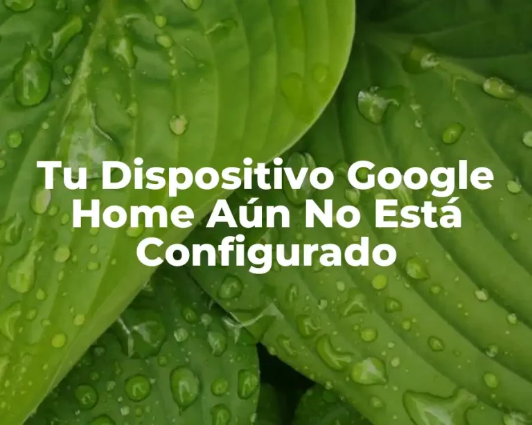 Tu Dispositivo Google Home Aún No Está Configurado