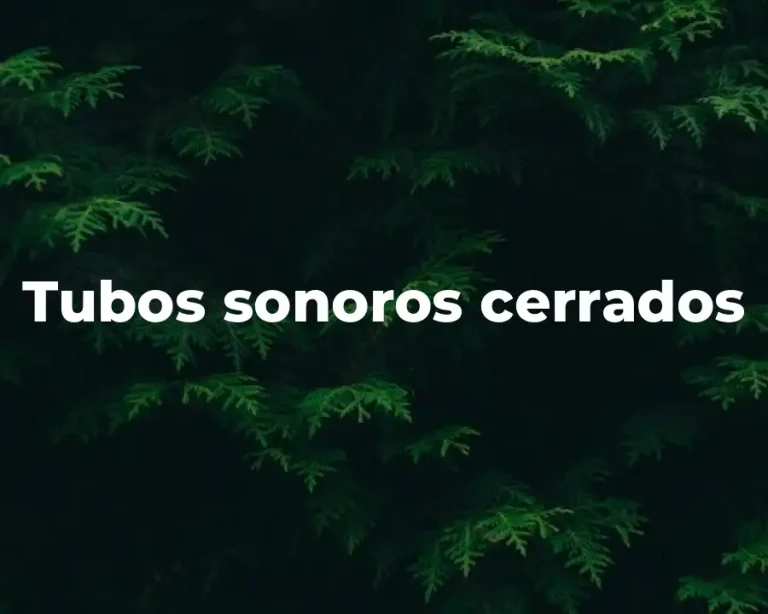 Tubos sonoros cerrados