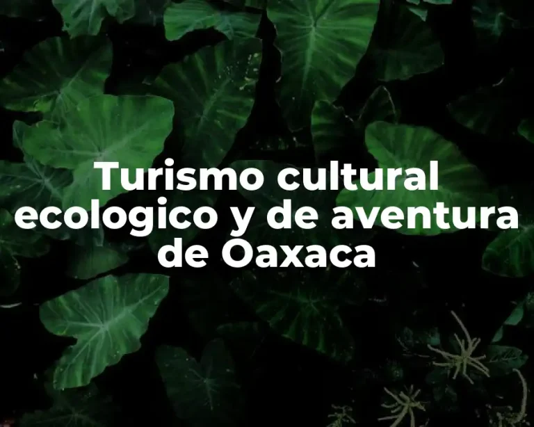 Turismo cultural ecologico y de aventura de Oaxaca