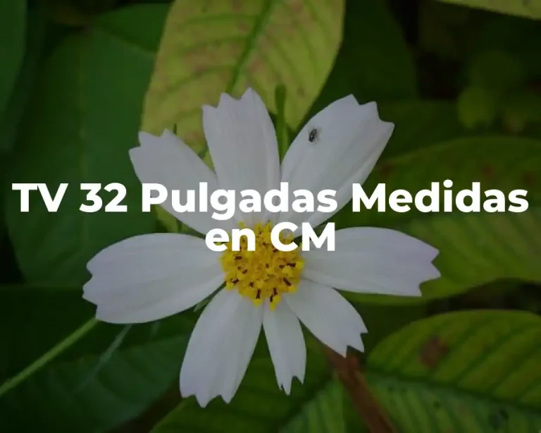 TV 32 Pulgadas Medidas en CM