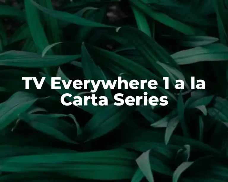 TV Everywhere 1 a la Carta Series