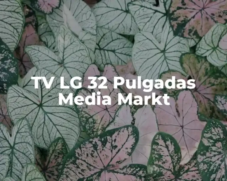TV LG 32 Pulgadas Media Markt