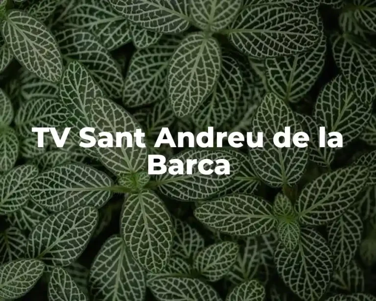 TV Sant Andreu de la Barca