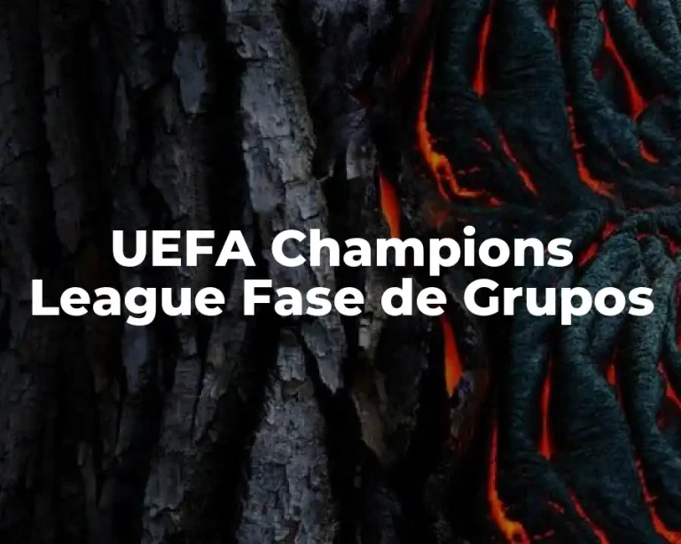 UEFA Champions League Fase de Grupos