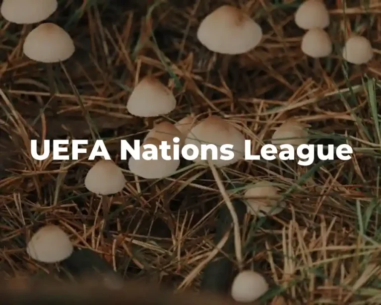 UEFA Nations League
