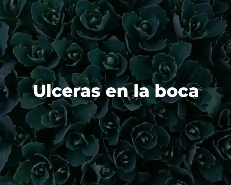 Ulceras en la boca