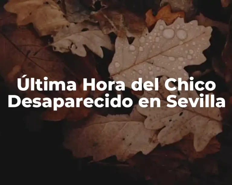 Última Hora del Chico Desaparecido en Sevilla