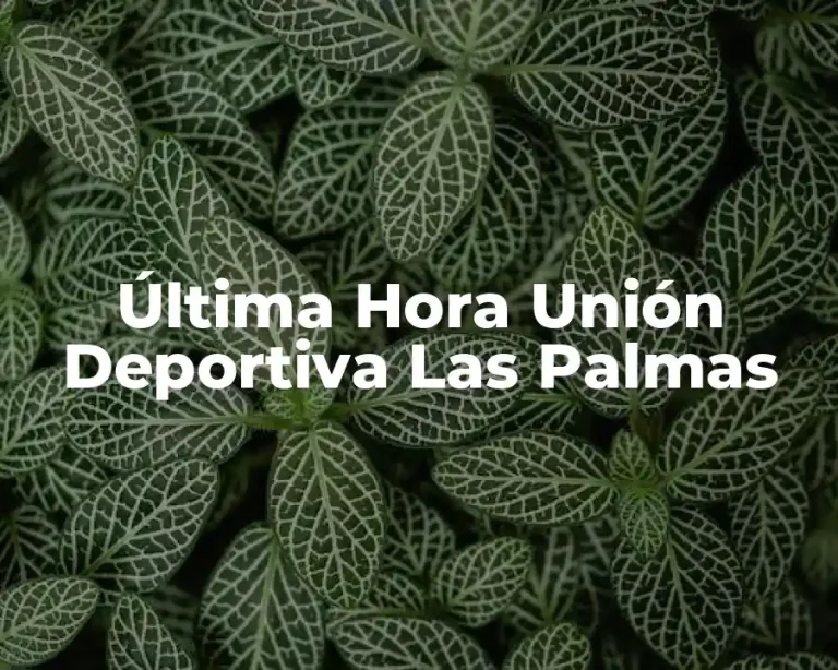 Última Hora Unión Deportiva Las Palmas