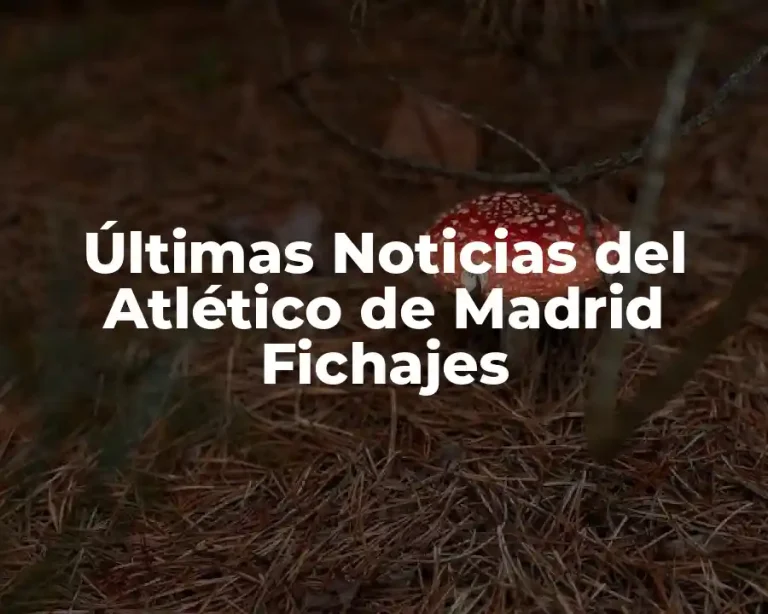 Últimas Noticias del Atlético de Madrid Fichajes