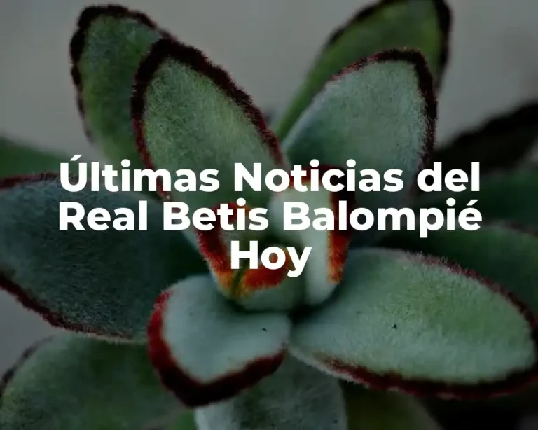 Últimas Noticias del Real Betis Balompié Hoy