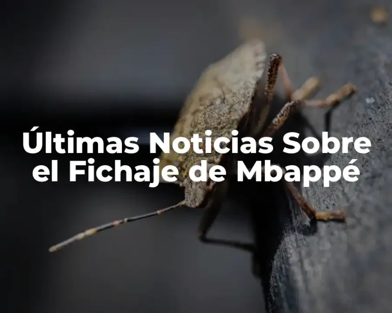 Últimas Noticias Sobre el Fichaje de Mbappé