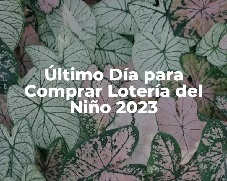 Último Día para Comprar Lotería del Niño 2023