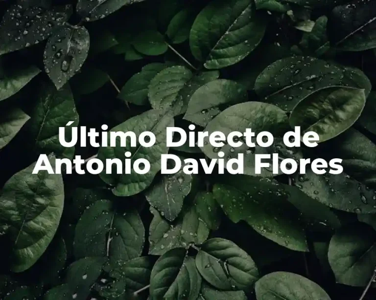 Último Directo de Antonio David Flores