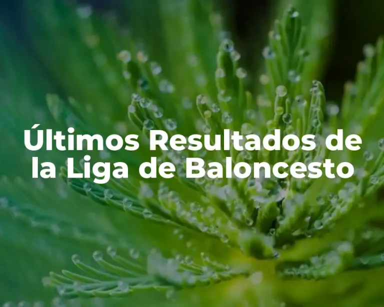 Últimos Resultados de la Liga de Baloncesto