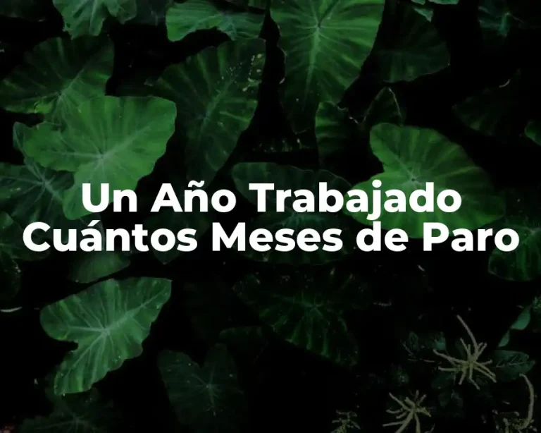 Un Año Trabajado Cuántos Meses de Paro