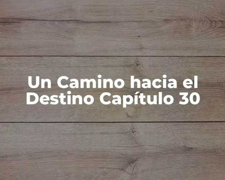 Un Camino hacia el Destino Capítulo 30