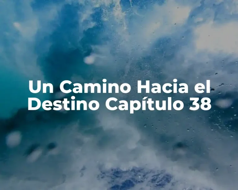 Un Camino Hacia el Destino Capítulo 38