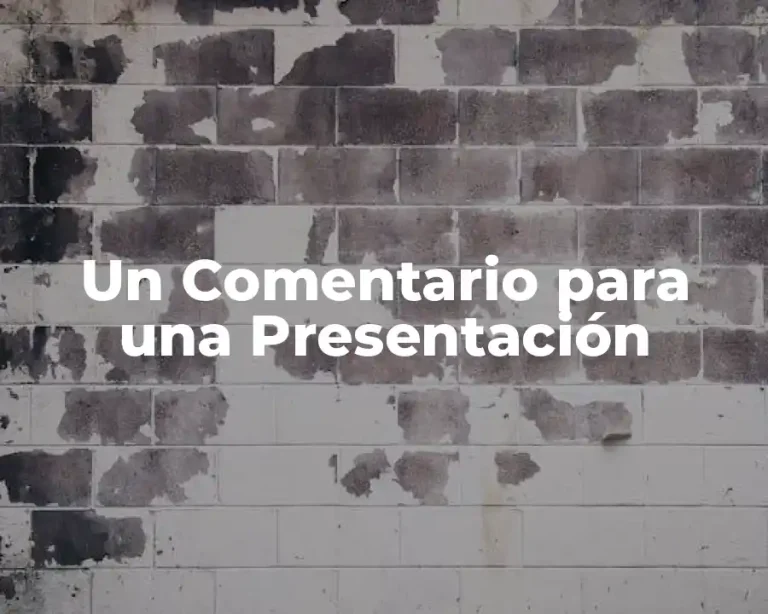 Un Comentario para una Presentación