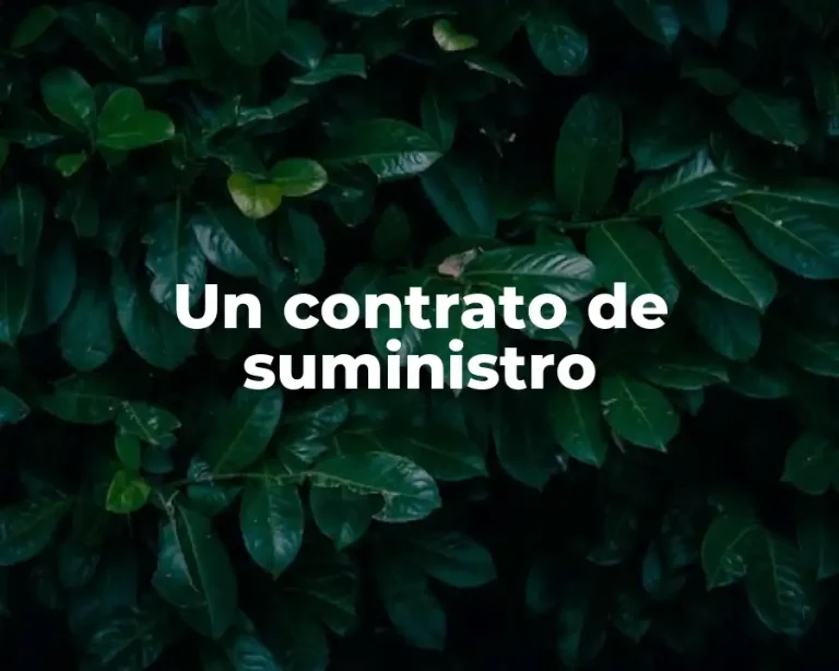Un contrato de suministro