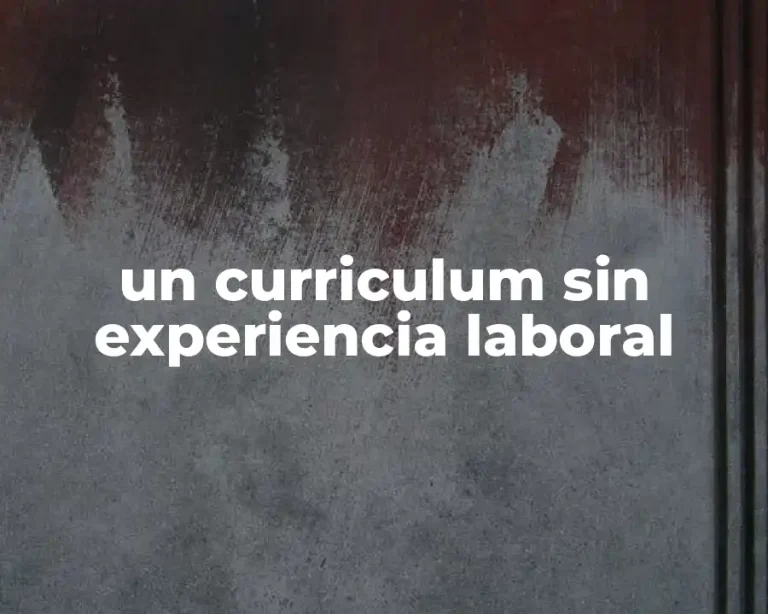 un curriculum sin experiencia laboral