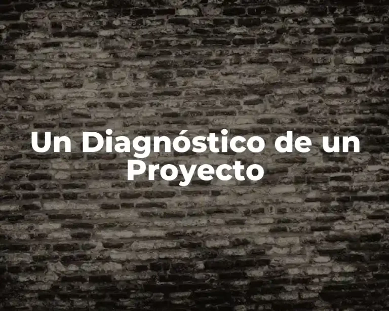 Un Diagnóstico de un Proyecto