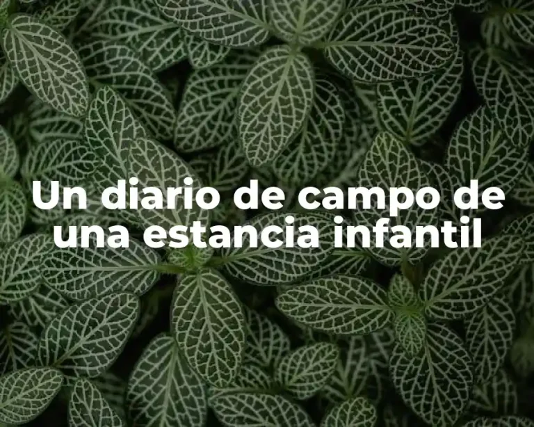 Un diario de campo de una estancia infantil