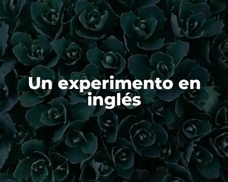 Un experimento en inglés