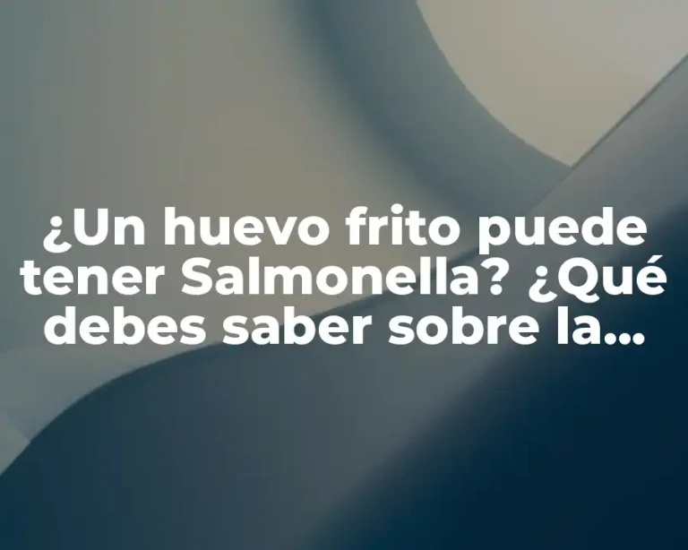 ¿Un huevo frito puede tener Salmonella? ¿Qué debes saber sobre la seguridad alimentaria de los huevos?