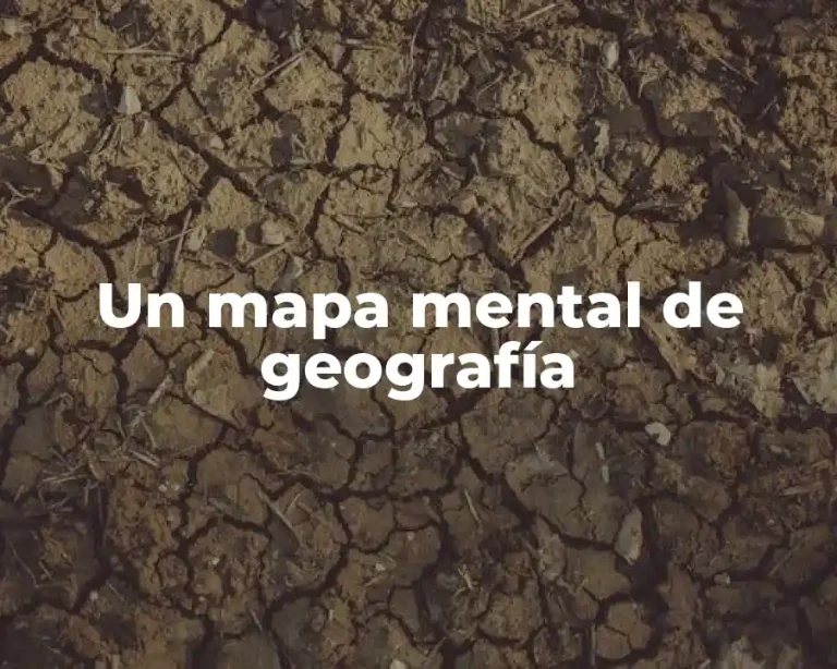 Un mapa mental de geografía