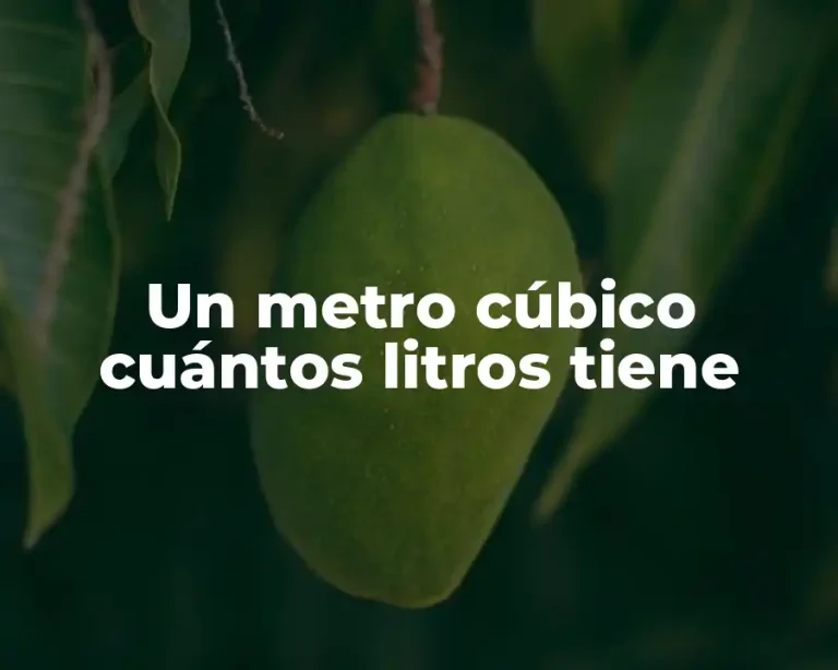 Un metro cúbico cuántos litros tiene