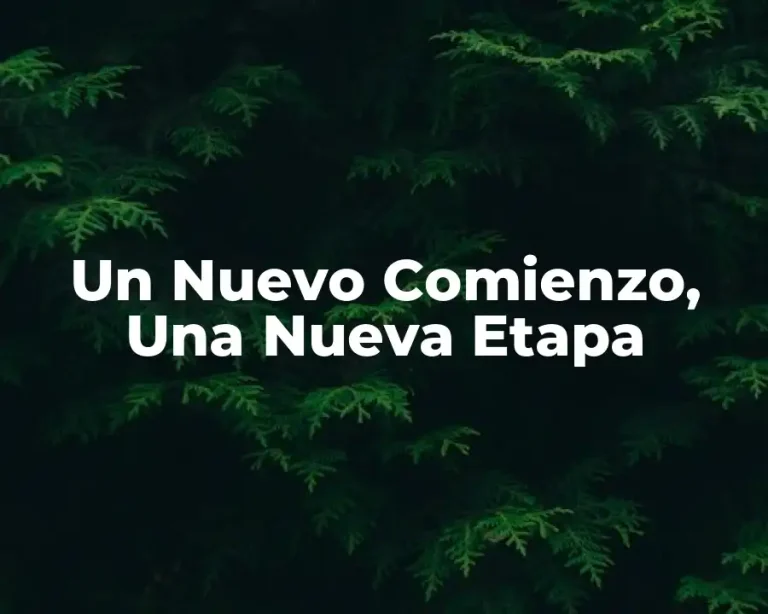 Un Nuevo Comienzo, Una Nueva Etapa