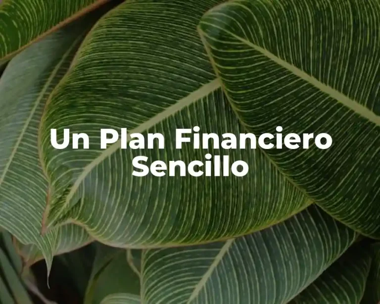 Un Plan Financiero Sencillo