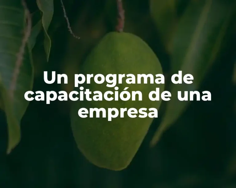 Un programa de capacitación de una empresa