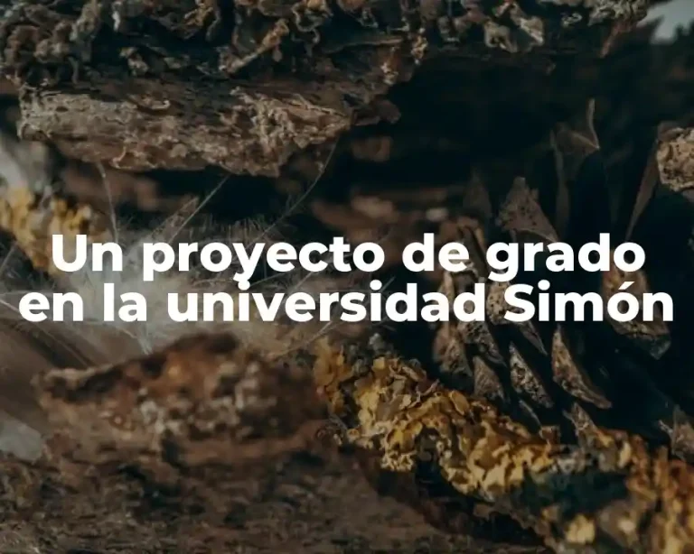 Un proyecto de grado en la universidad Simón
