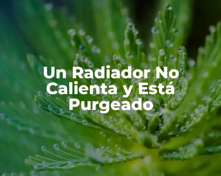 Un Radiador No Calienta y Está Purgeado