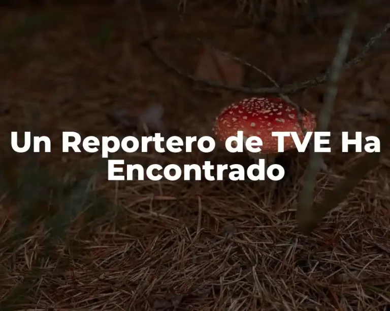Un Reportero de TVE Ha Encontrado