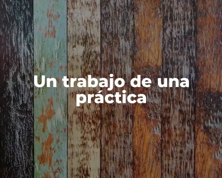 Un trabajo de una práctica