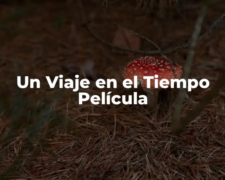 Un Viaje en el Tiempo Película