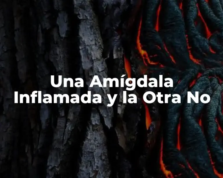 Una Amígdala Inflamada y la Otra No