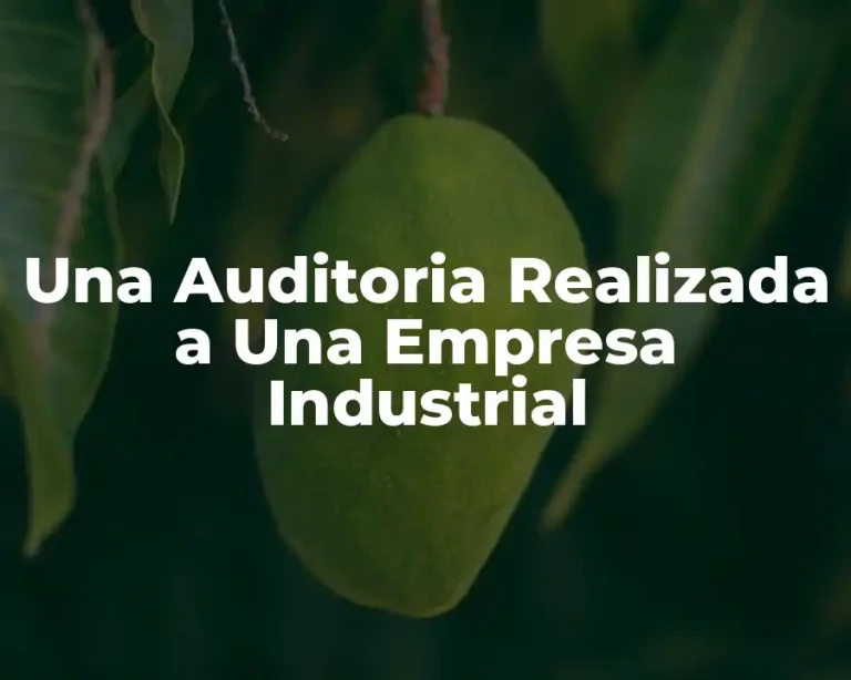 Una Auditoria Realizada a Una Empresa Industrial