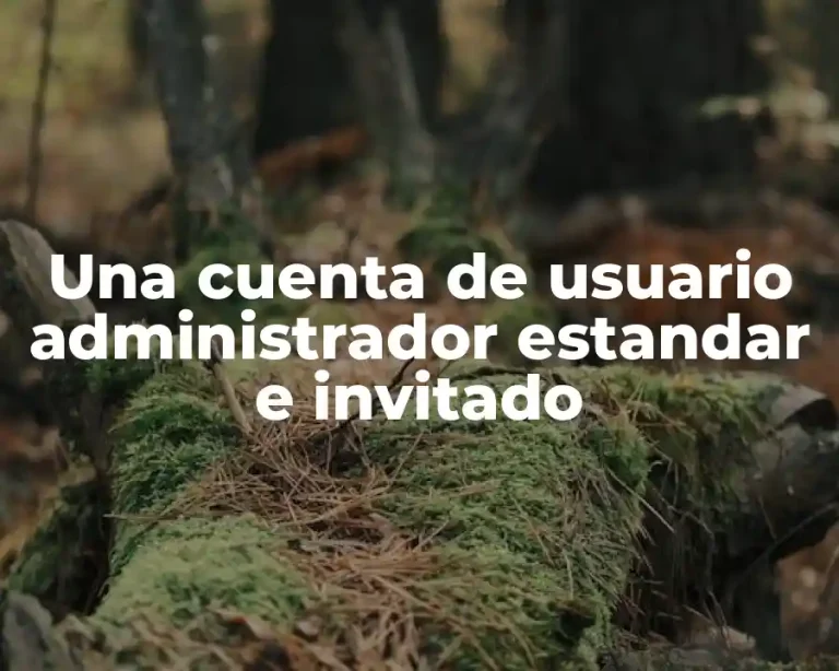 Una cuenta de usuario administrador estandar e invitado