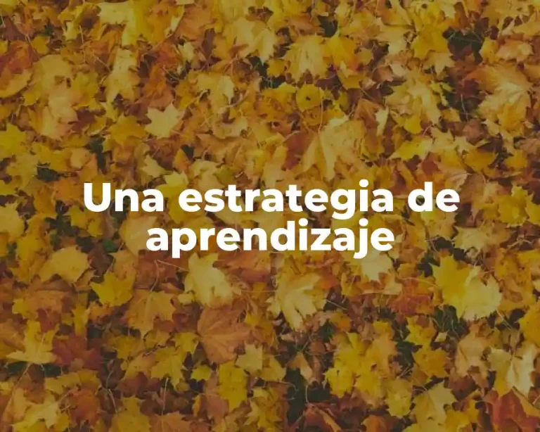 Una estrategia de aprendizaje