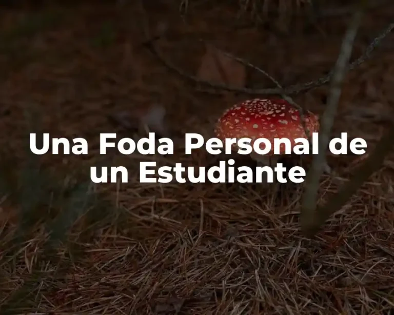Una Foda Personal de un Estudiante