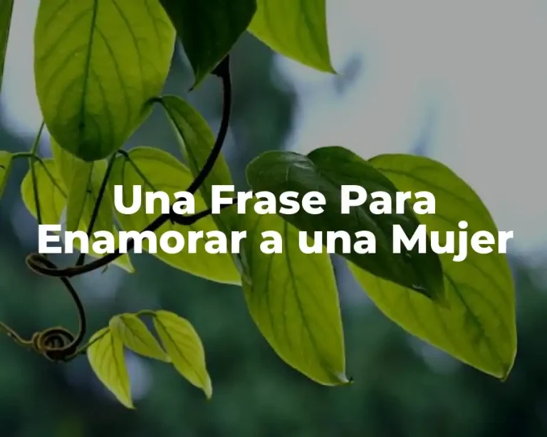 Una Frase Para Enamorar a una Mujer