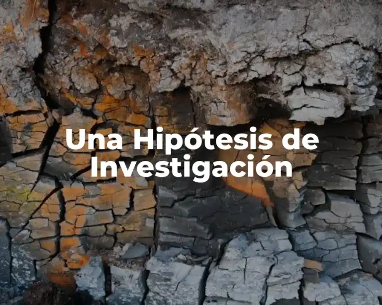 Una Hipótesis de Investigación