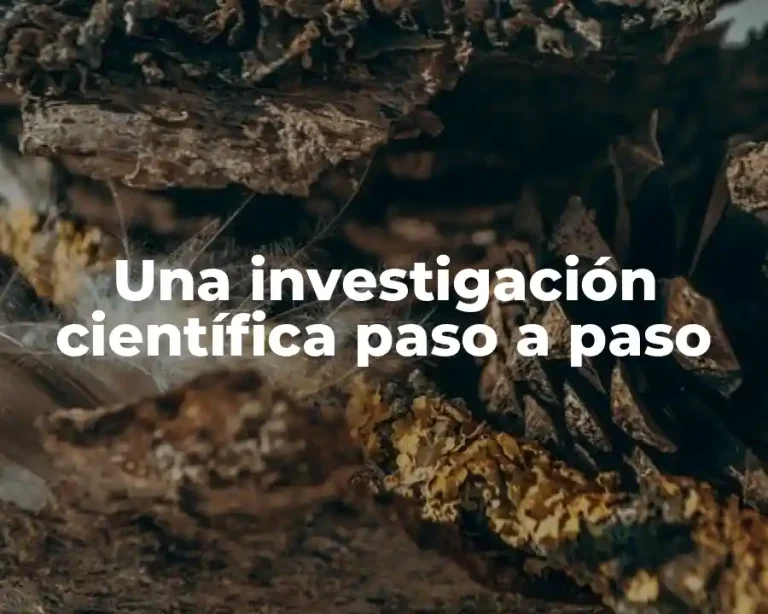 Una investigación científica paso a paso