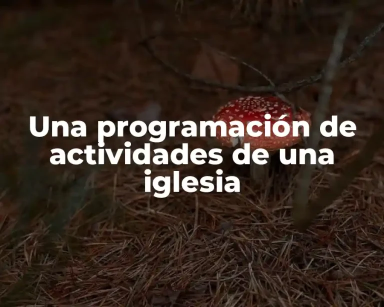 Una programación de actividades de una iglesia